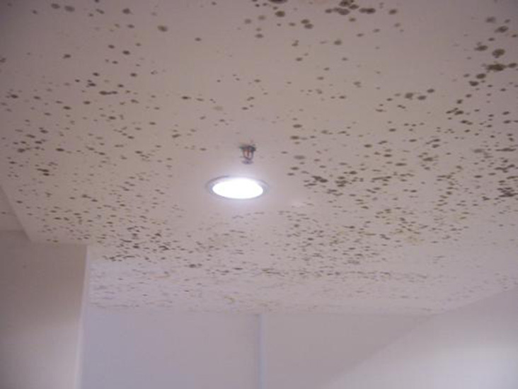 20150828110310_41634.jpg